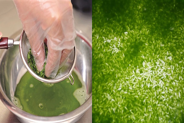 cach-lam-banh-chung-xanh-deo-khong-nat2